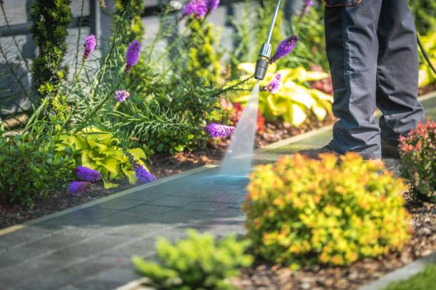 Best Warehouse Cleaning  in Akwesasne, NY